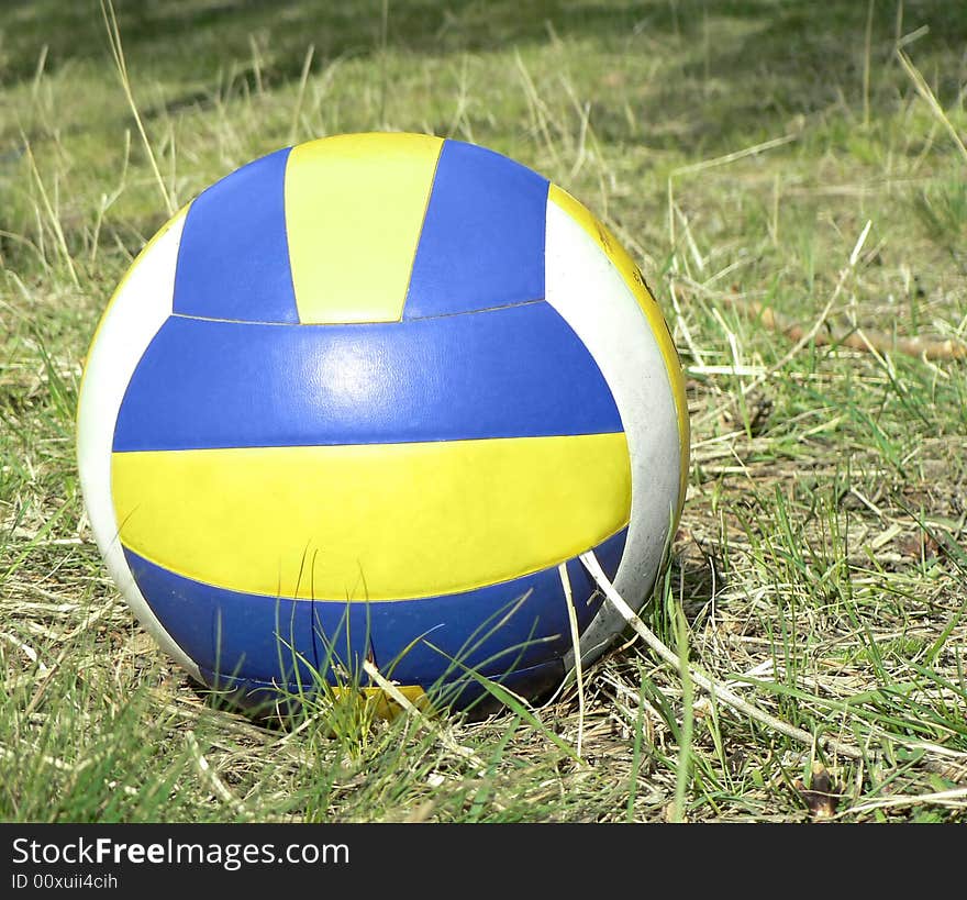 Volleyball ball in the grass