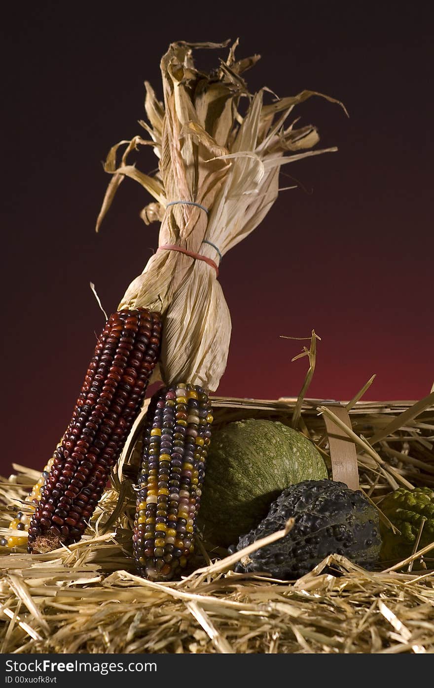 Arrangement of squash and corn on a haystack