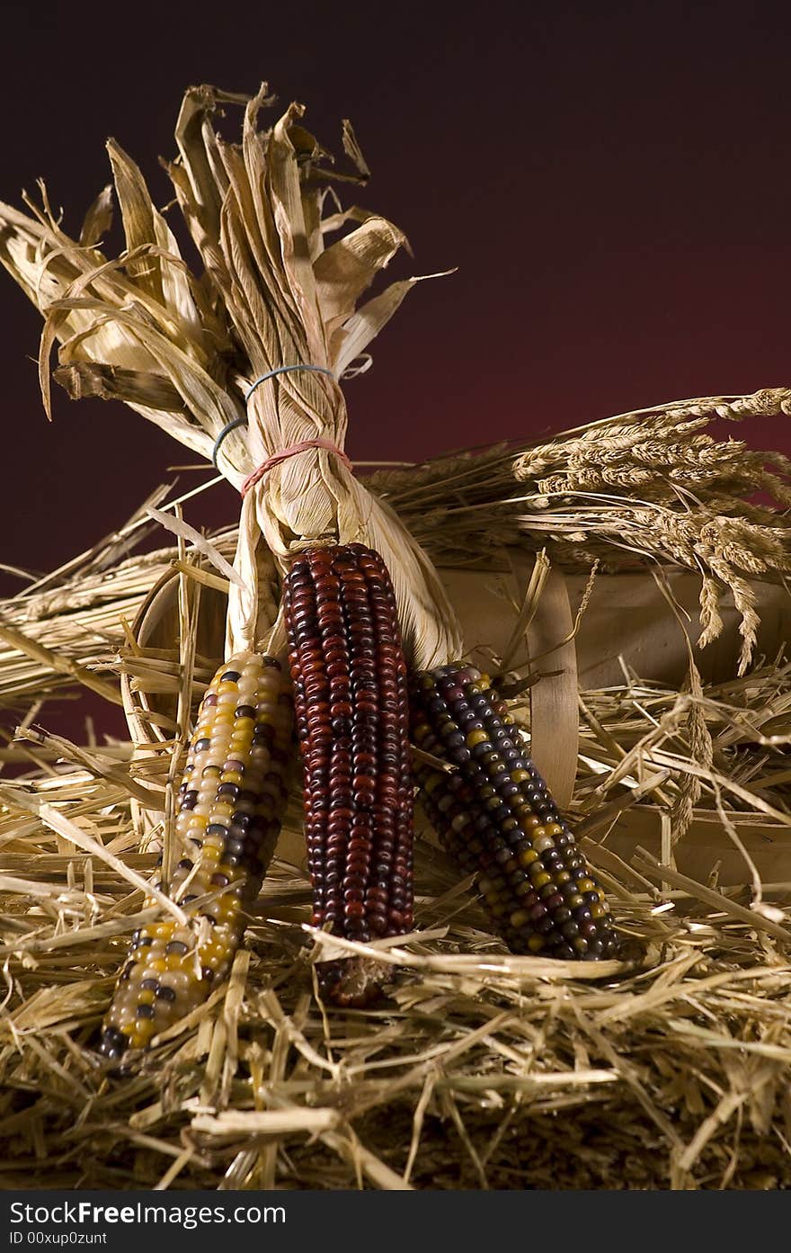 Arrangement of squash and corn on a haystack