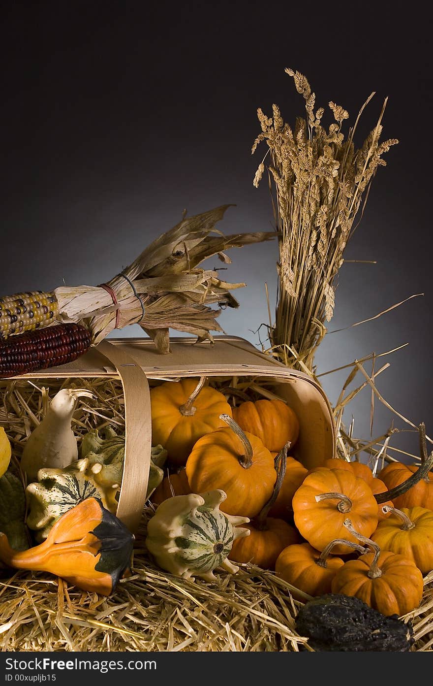 Arrangement of squash and corn on a haystack. Arrangement of squash and corn on a haystack