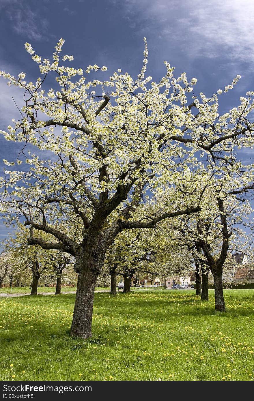 Spring in the Franconian countryside of germany. Spring in the Franconian countryside of germany