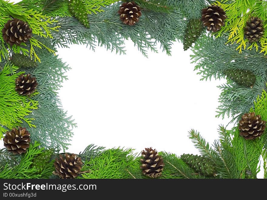 Christmas frame with cones isolated on white