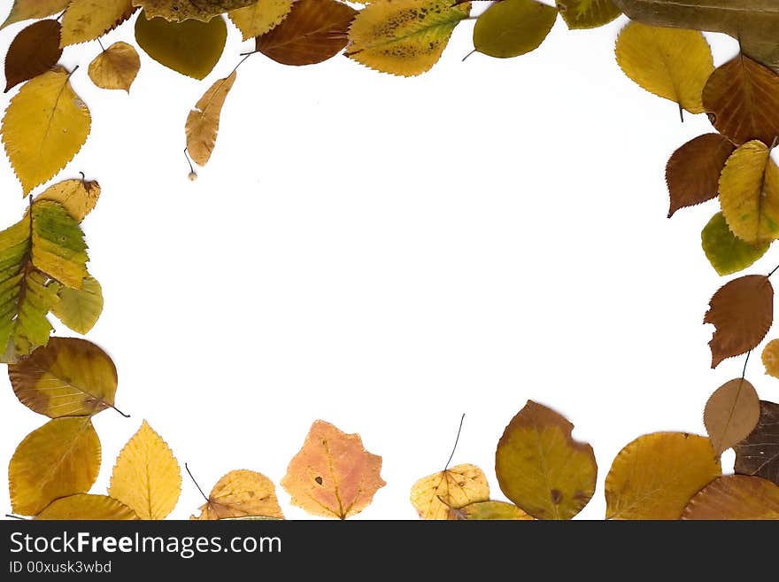 Autumn frame