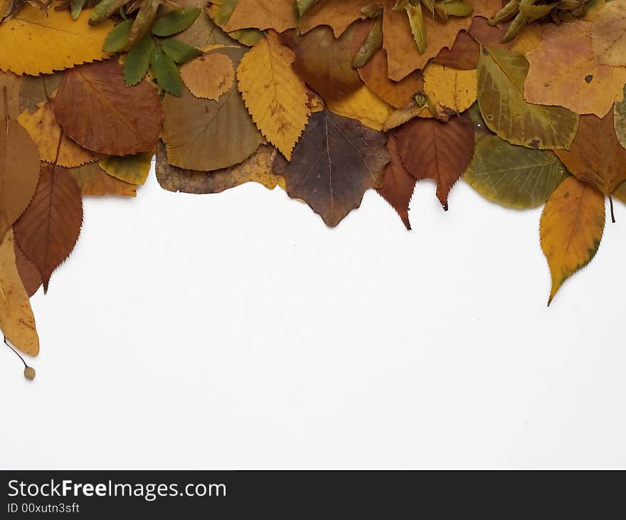 Autumn frame made of colorful leaves. Autumn frame made of colorful leaves