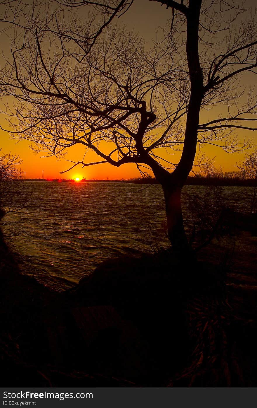 A beautiful sunset on a river side and a silhouaite of a tree