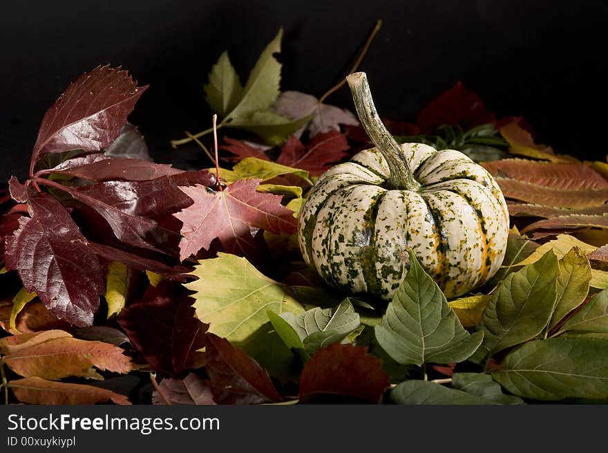 Arrangement of squash and corn on a haystack. Arrangement of squash and corn on a haystack