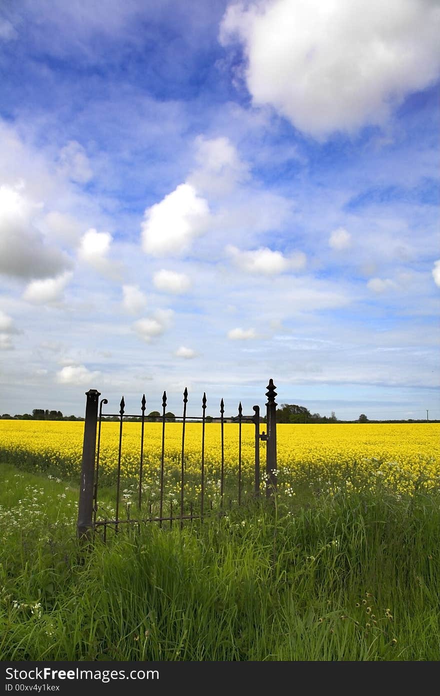 Cast iron gate in open countryside. Cast iron gate in open countryside