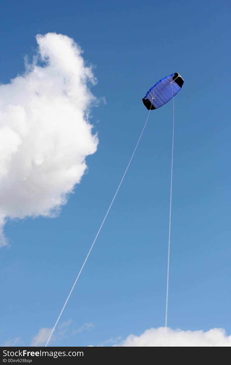 Go fly a kite