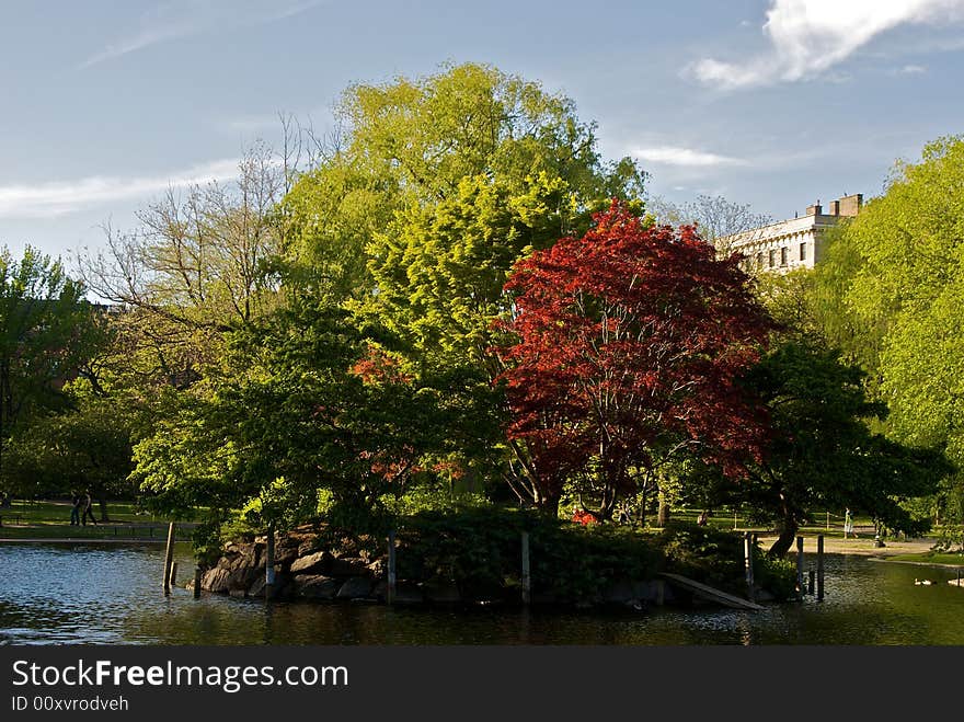 Scenic view of boston public garden island on a bright spring afternoon. Scenic view of boston public garden island on a bright spring afternoon