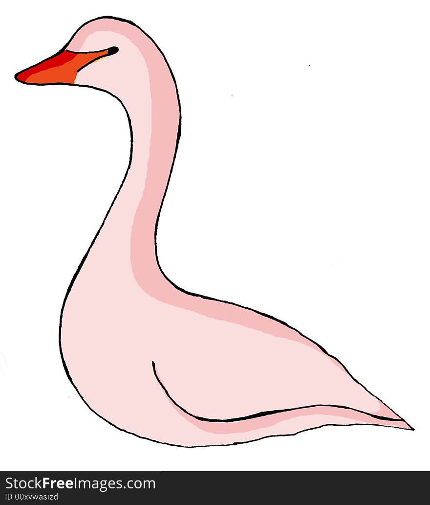 Swan