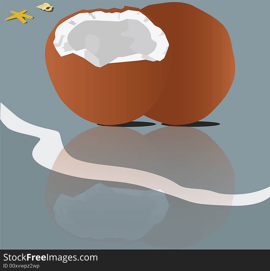 Vector illustration of two coconuts lying on a beach, with their reflection on the water. Vector illustration of two coconuts lying on a beach, with their reflection on the water