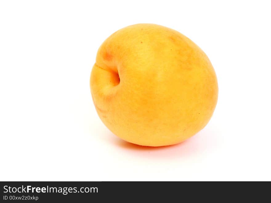 Apricot