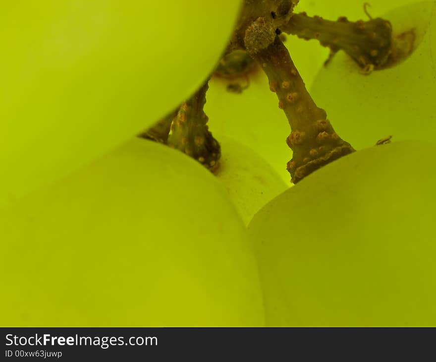 Green Grape Macro