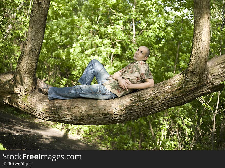 Young Man Relaxing In The Forest. Young Man Relaxing In The Forest