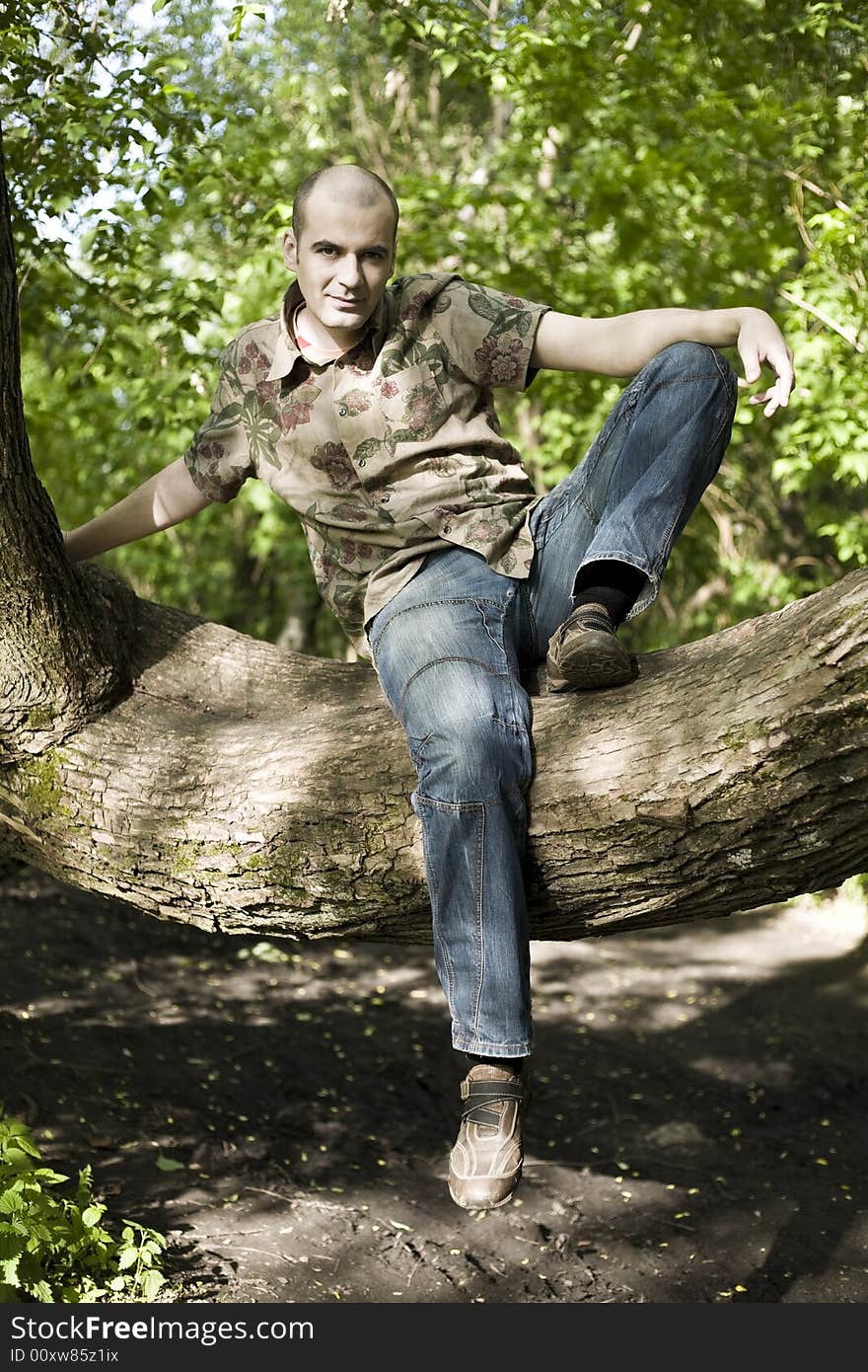 Summer. Young Man Sitting On The Tree