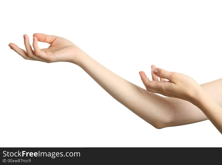 Female hands on a white background