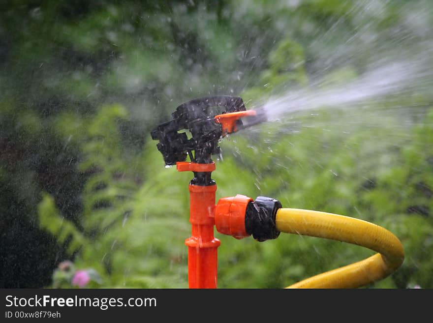 Detail of a working lawn sprinkler.