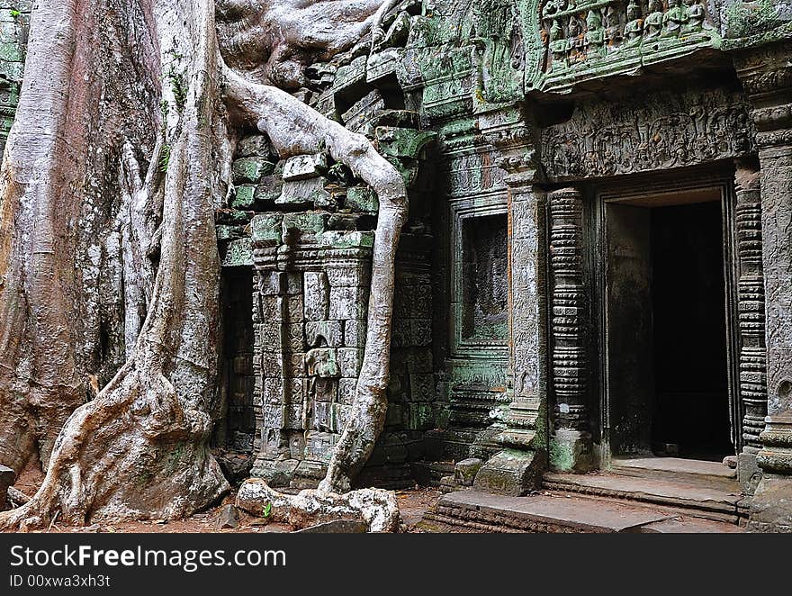 The Ta Prohm is an ancient Mahayana Buddhist monastery and university builted between the 12th and 13th centuries by the Khmer king Jayavarman VII.  Architectural detail with a strangle fig. The Ta Prohm is an ancient Mahayana Buddhist monastery and university builted between the 12th and 13th centuries by the Khmer king Jayavarman VII.  Architectural detail with a strangle fig