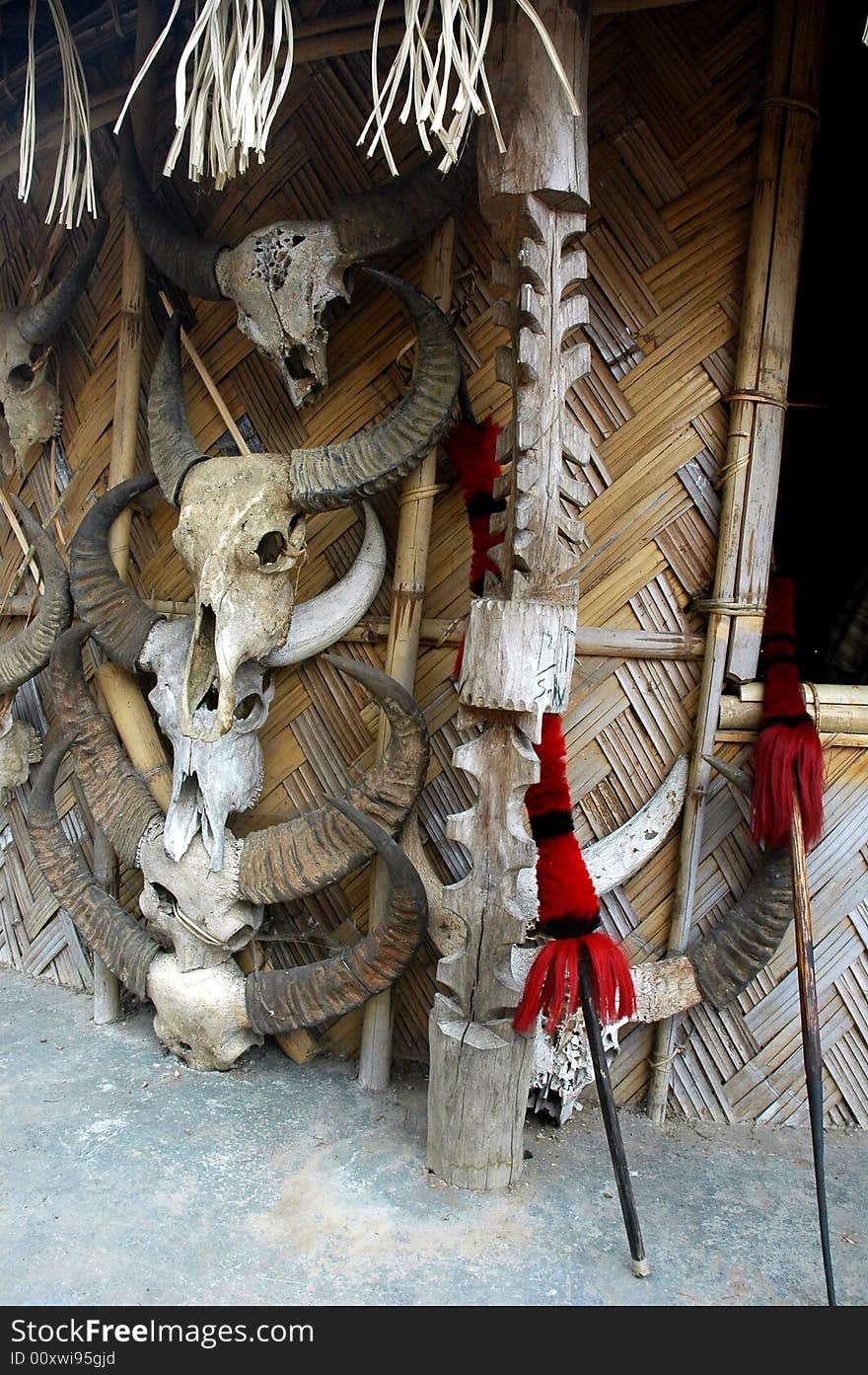 A partial view of a Naga hut.