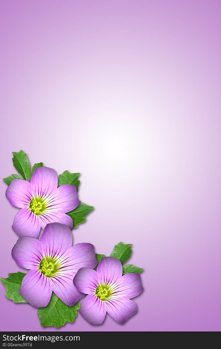 Composite of Purple flower and leaf with purple background