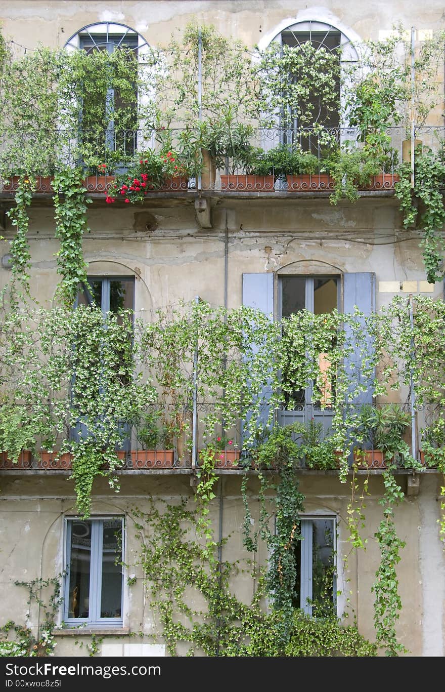 Windows and terrace in an ancient and rural house with ivy and flowers - Italy. Windows and terrace in an ancient and rural house with ivy and flowers - Italy