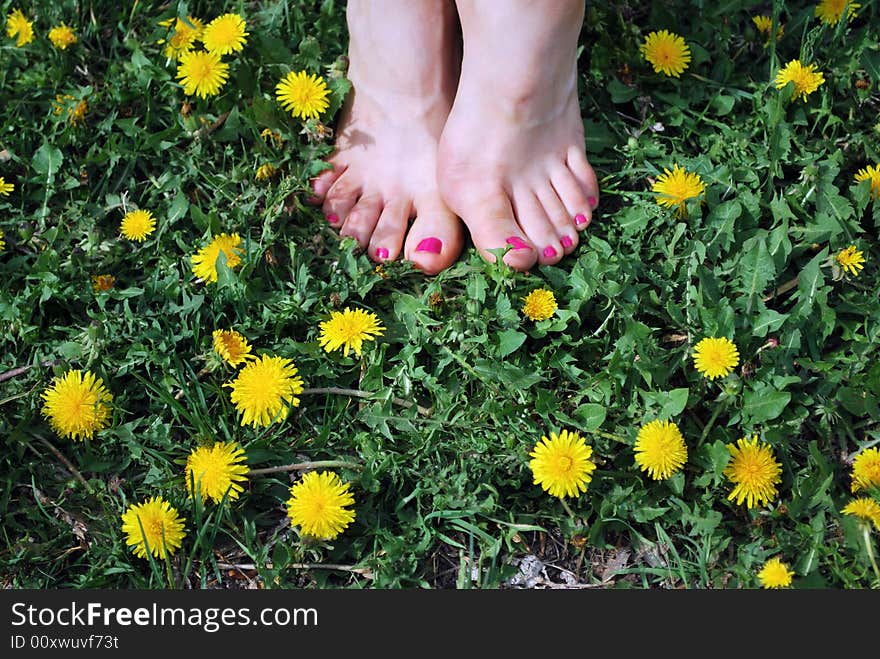 Sexy foots & yellow flowers