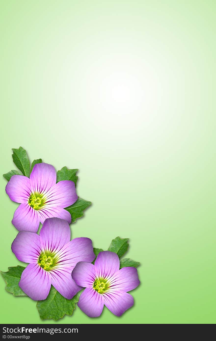 Composite of Purple flower and leaf with green background