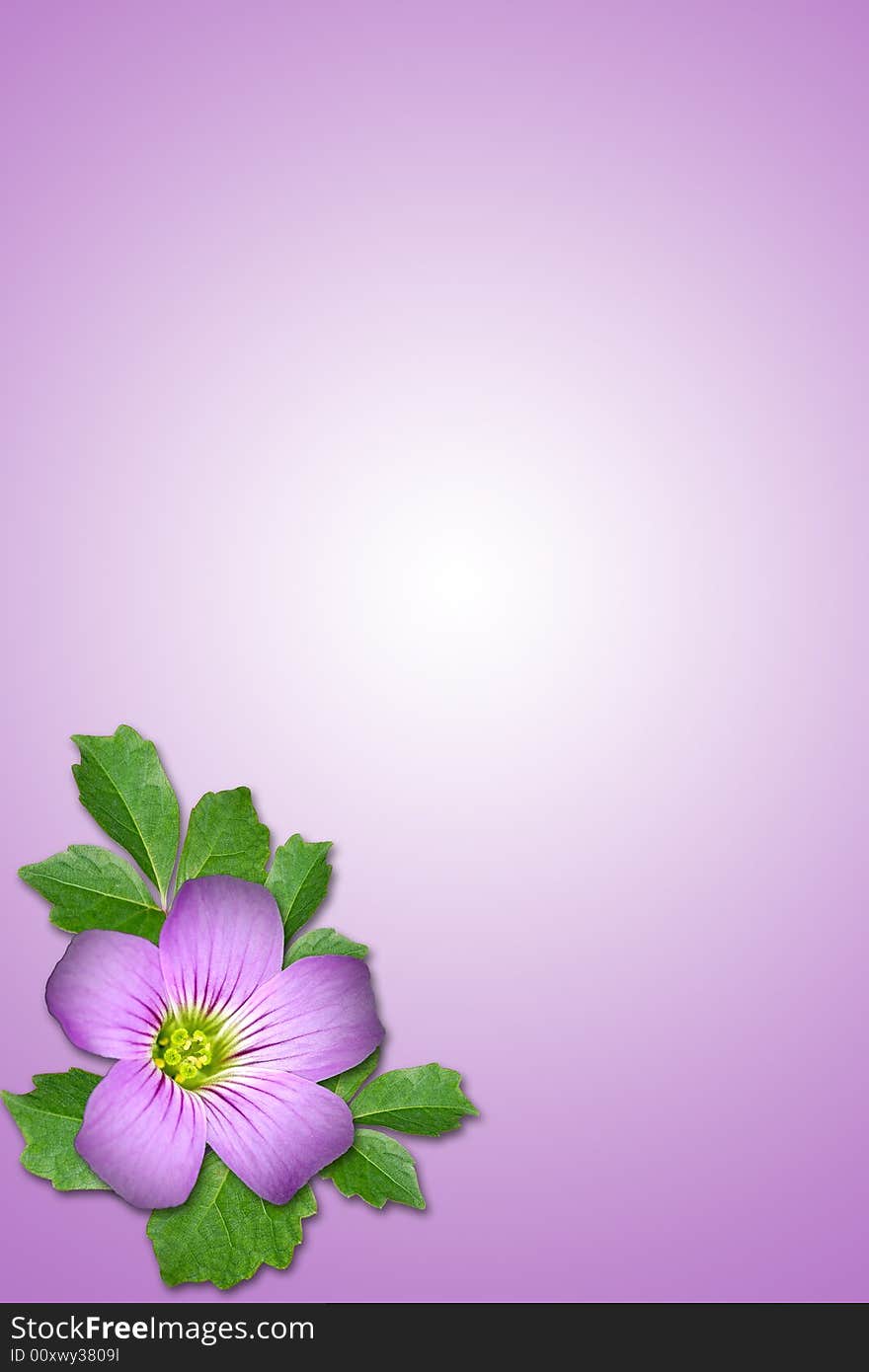 Composite of Purple flower and leaf with purple background