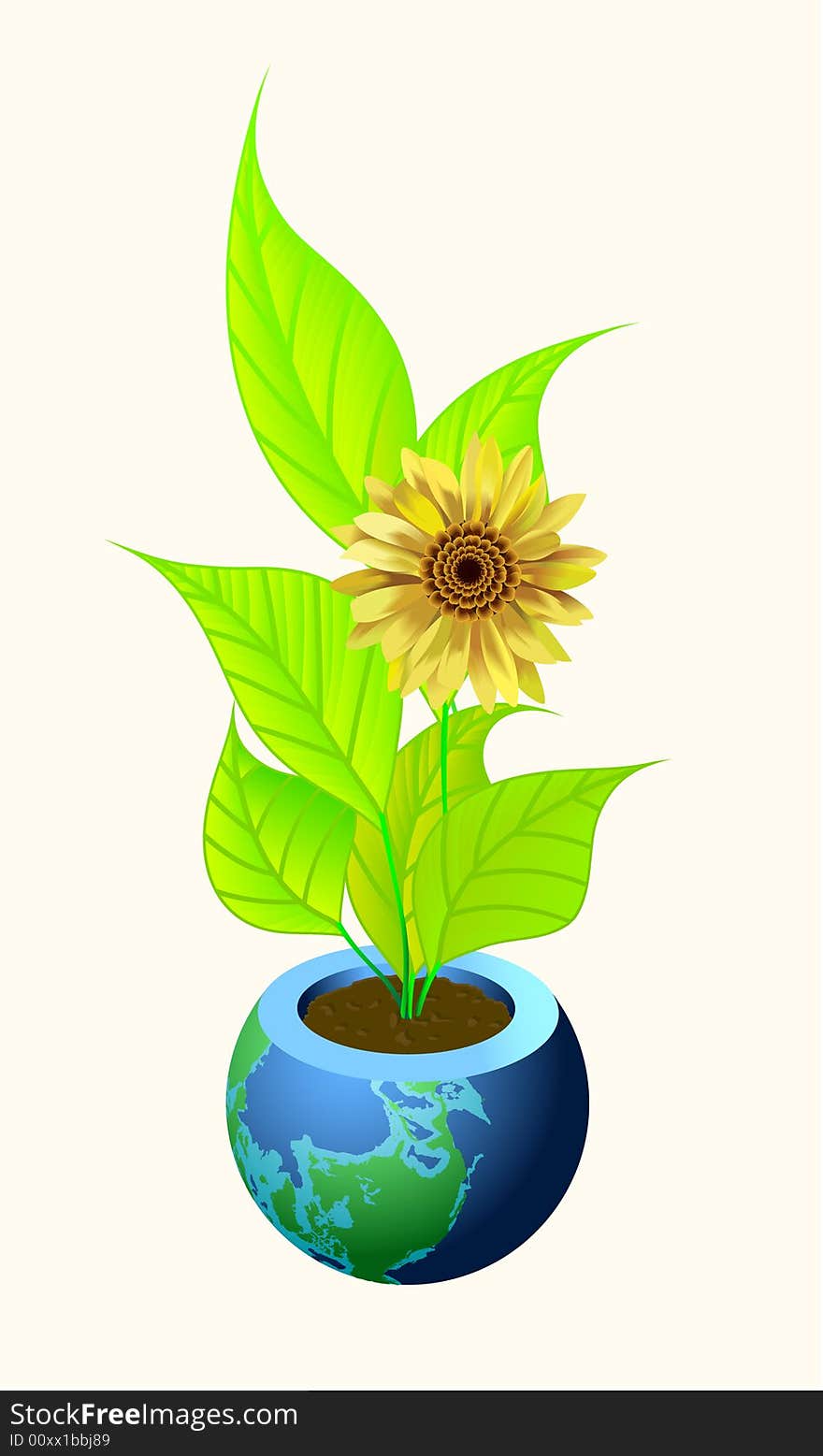 Growing yellow sunflower in a pot