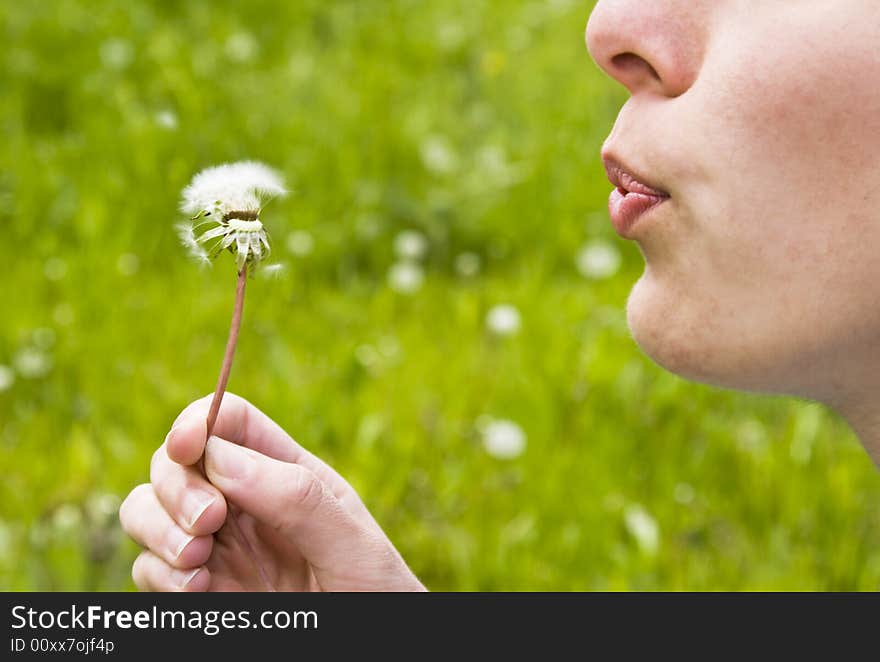 Girl Blowing Dandelion