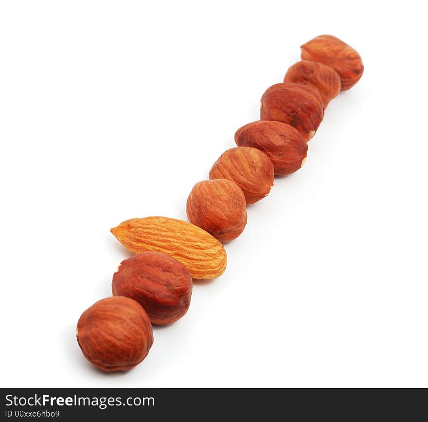 Row of hazels and one almond on the white background. Row of hazels and one almond on the white background