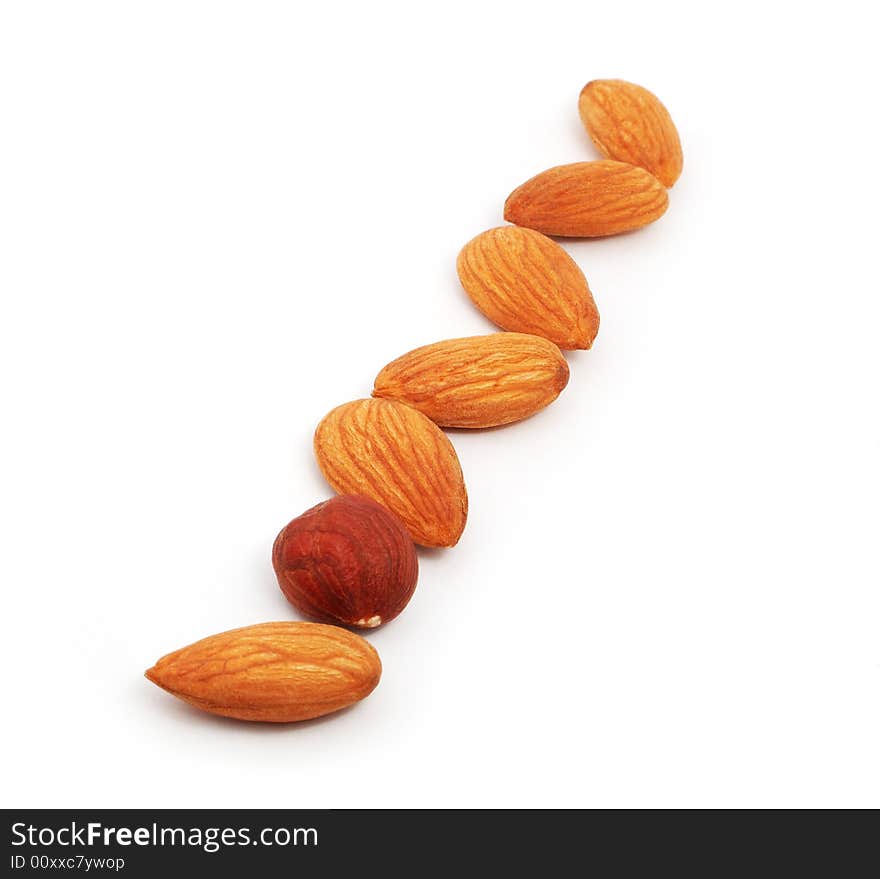 Row of almonds and one hazel on the white background. Row of almonds and one hazel on the white background