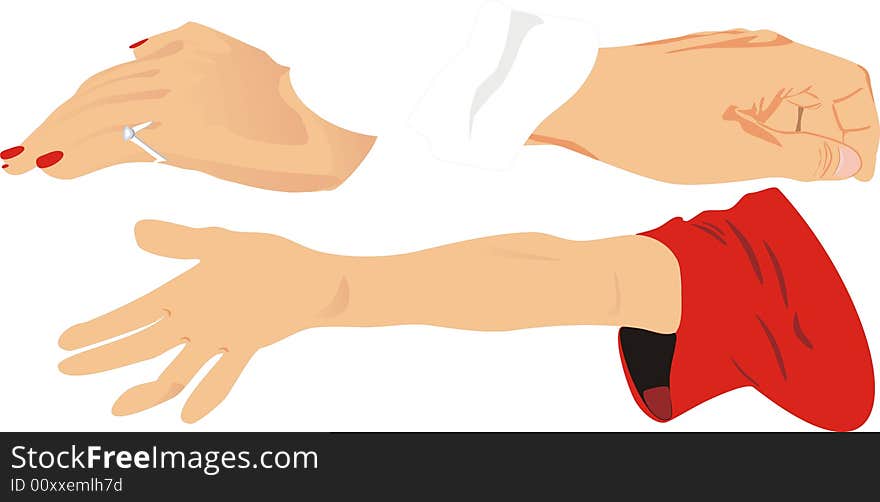 Hands of a woman, men and child. Vector illustration.