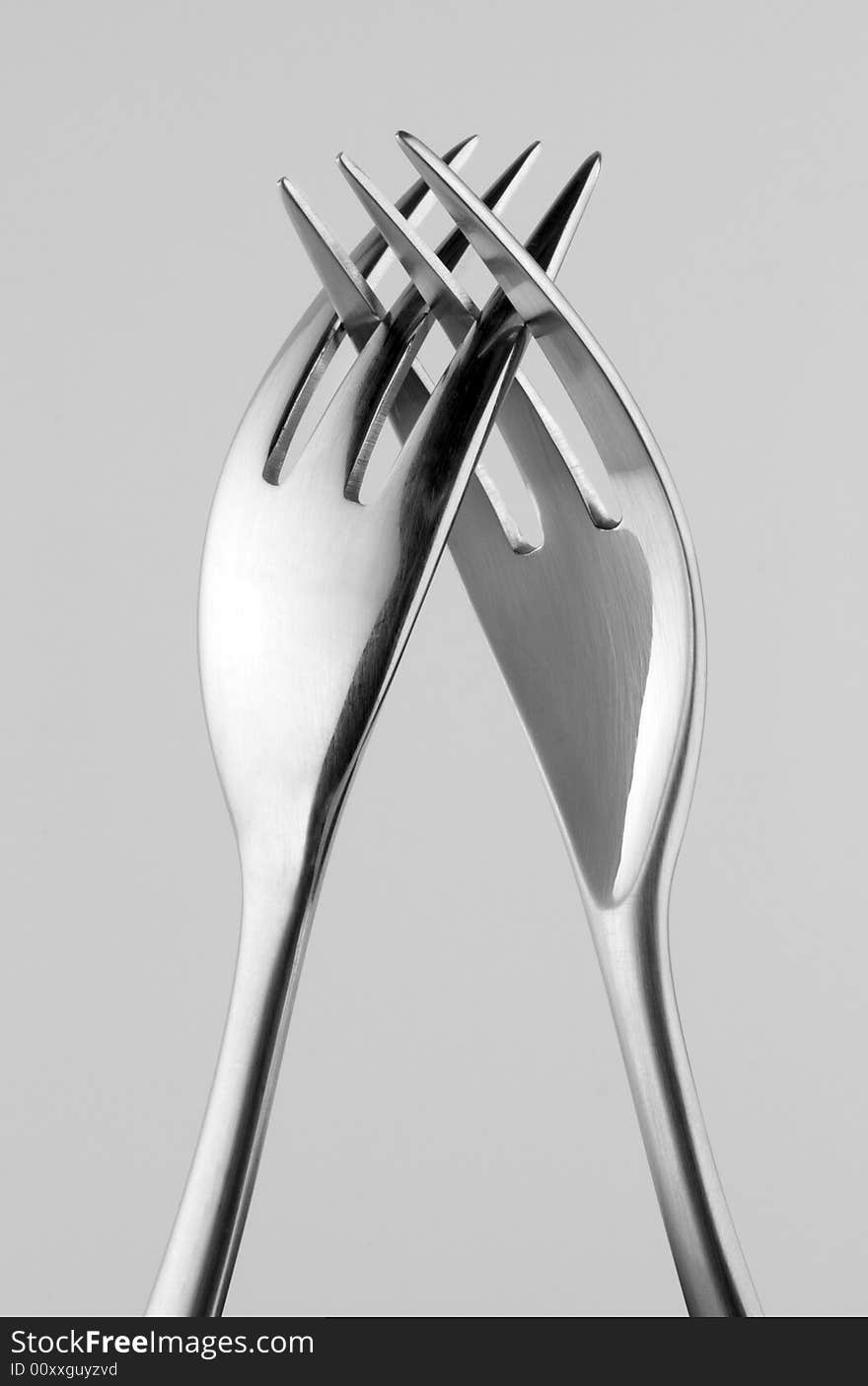 Two Forks Intertwined on Gray