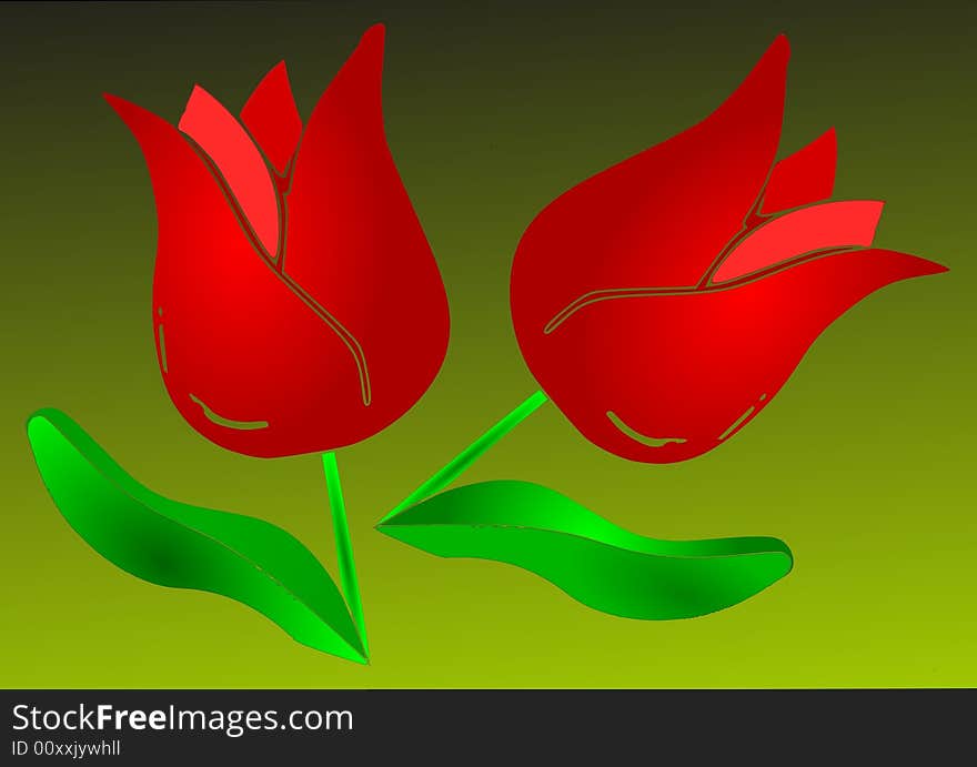 Red tulips