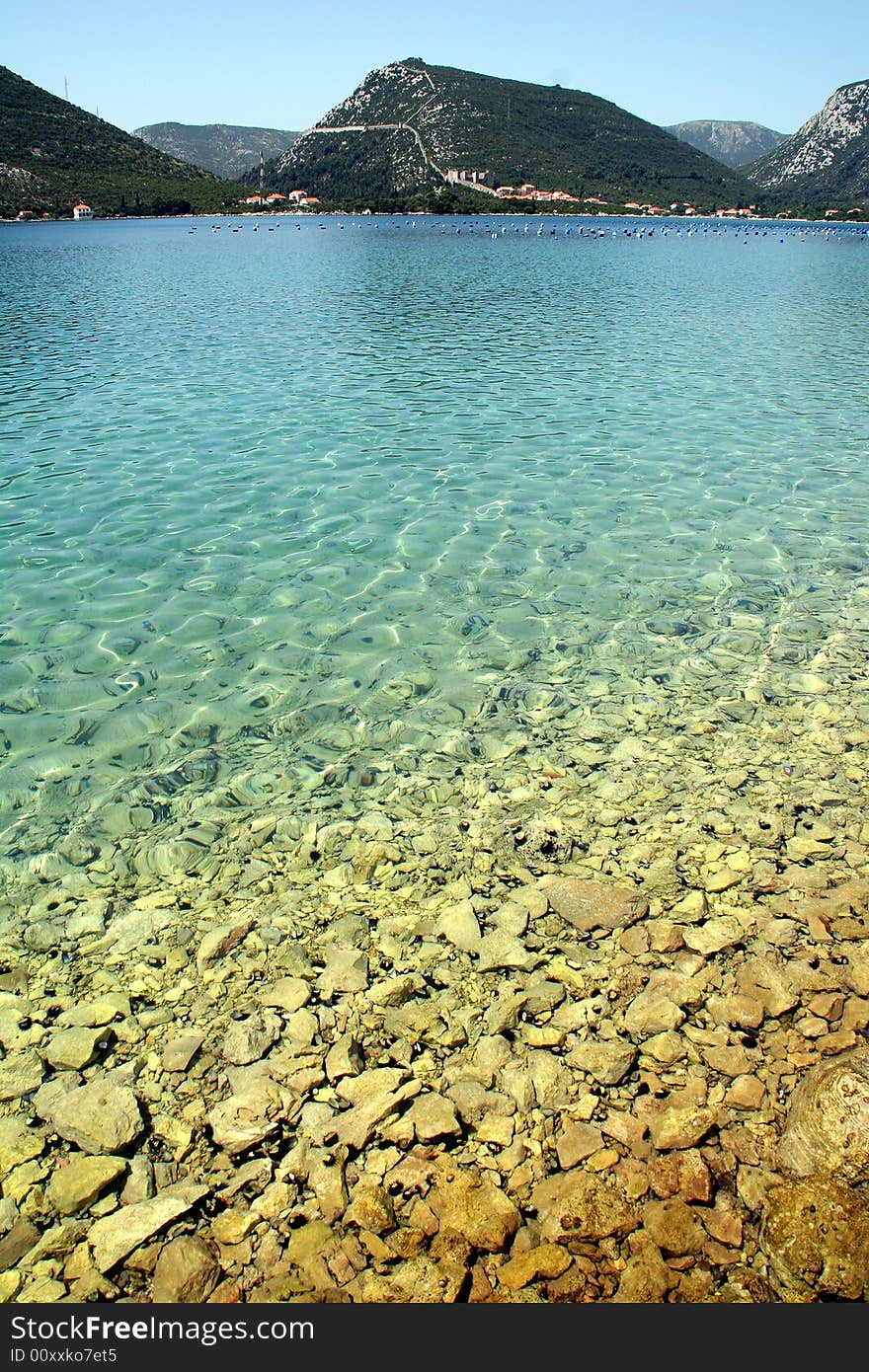 Water With Urchins