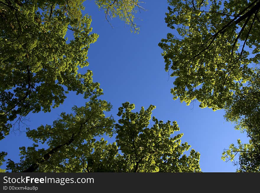 Green and blue