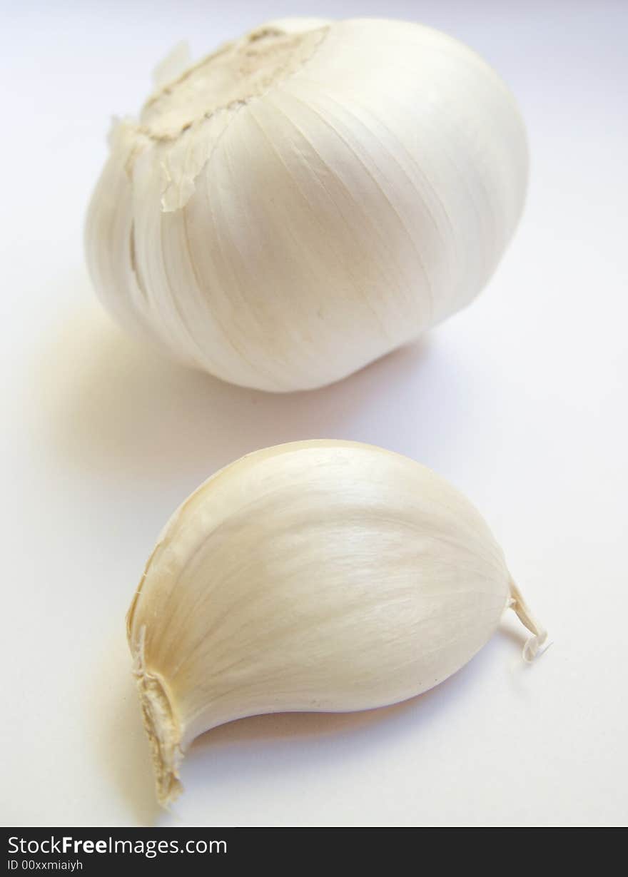 Garlic in a white background