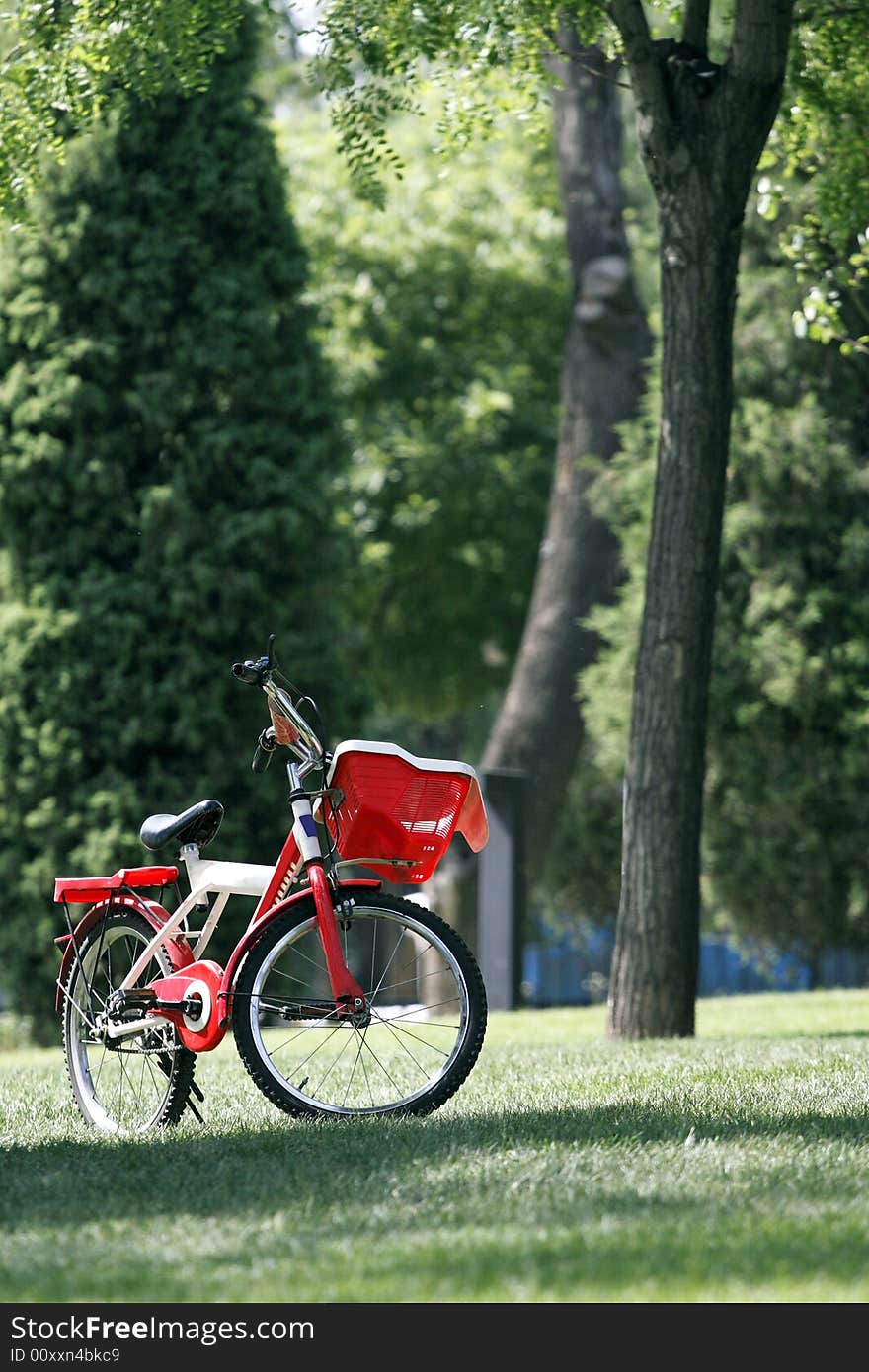 Bicycle in the woods.