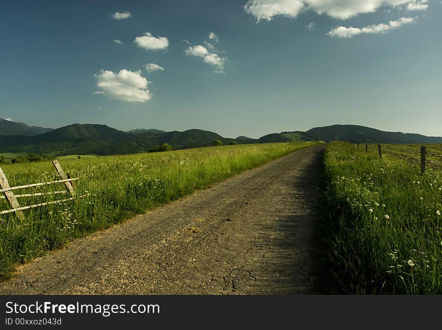 Beautiful summer landscape