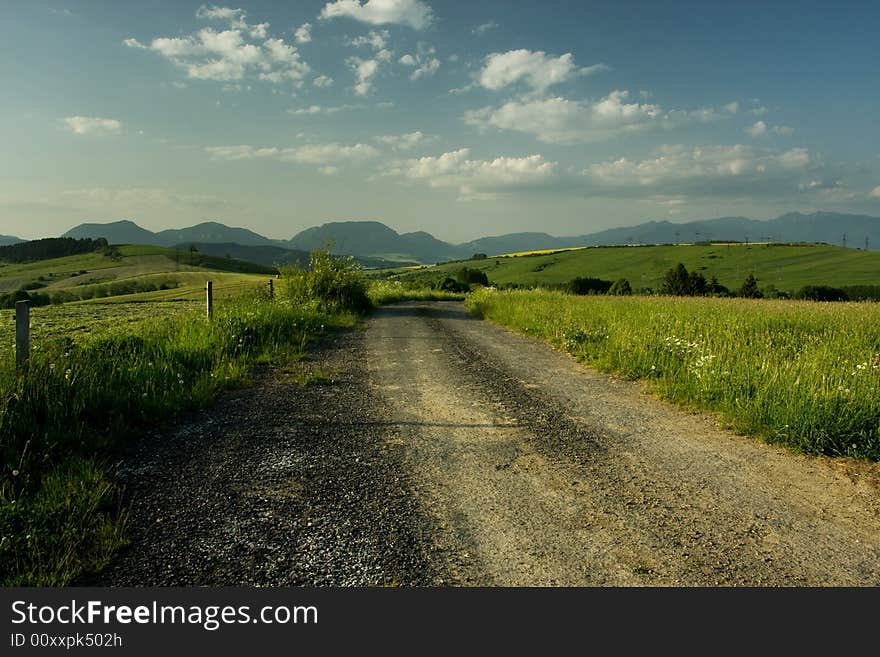 A lone path through a green field of grass