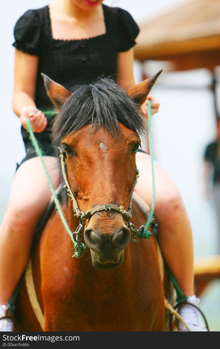 The equestrian japanese girl