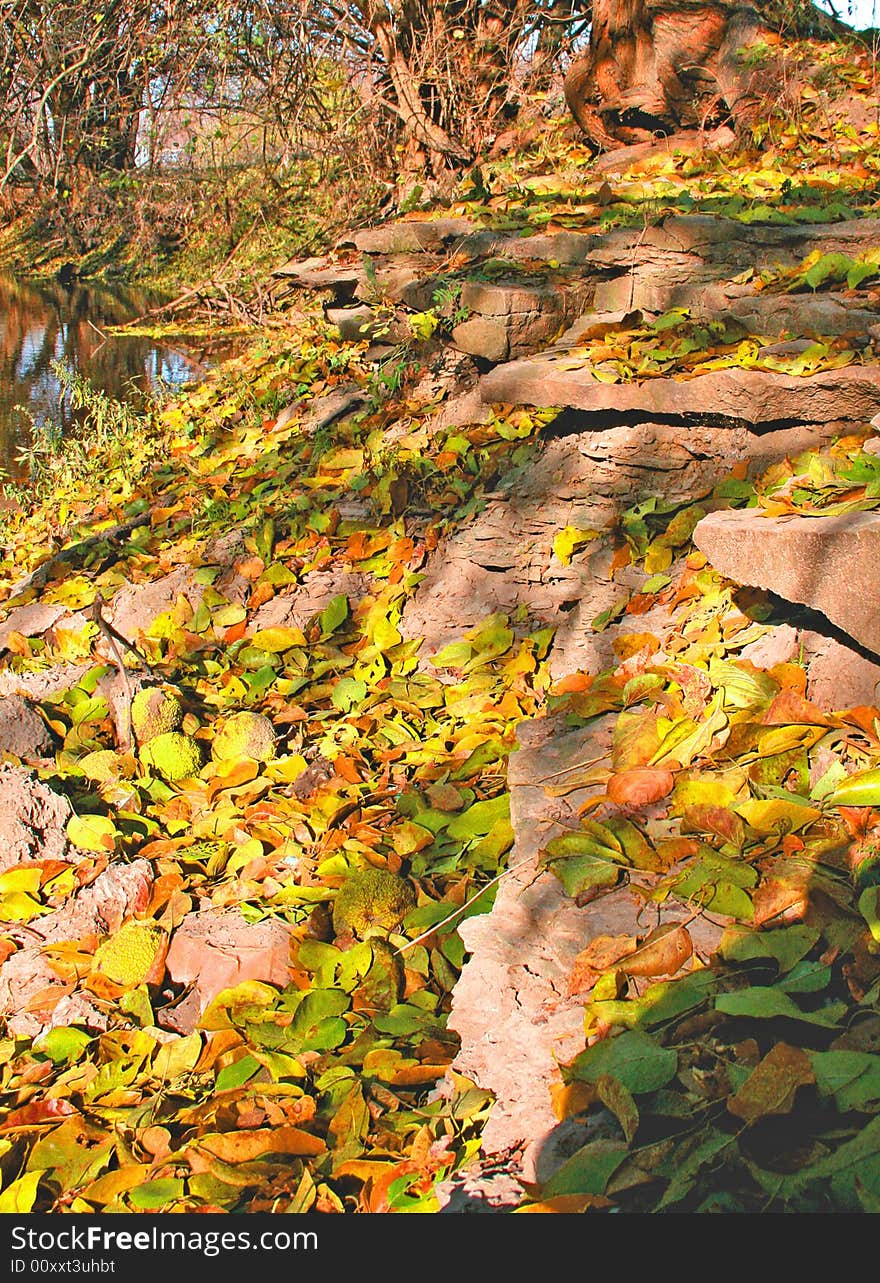 Fall leaves with big rock next to a creek. Fall leaves with big rock next to a creek