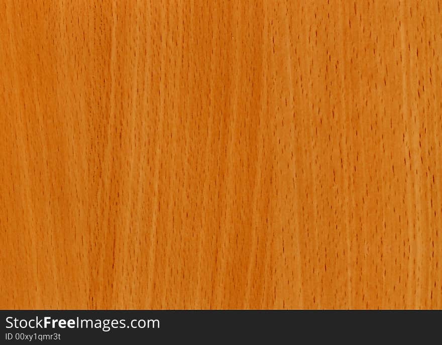 Close-up Wooden Beech Bavaria Texture