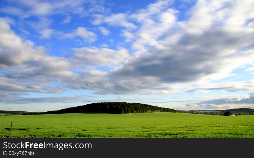 Summer landscape