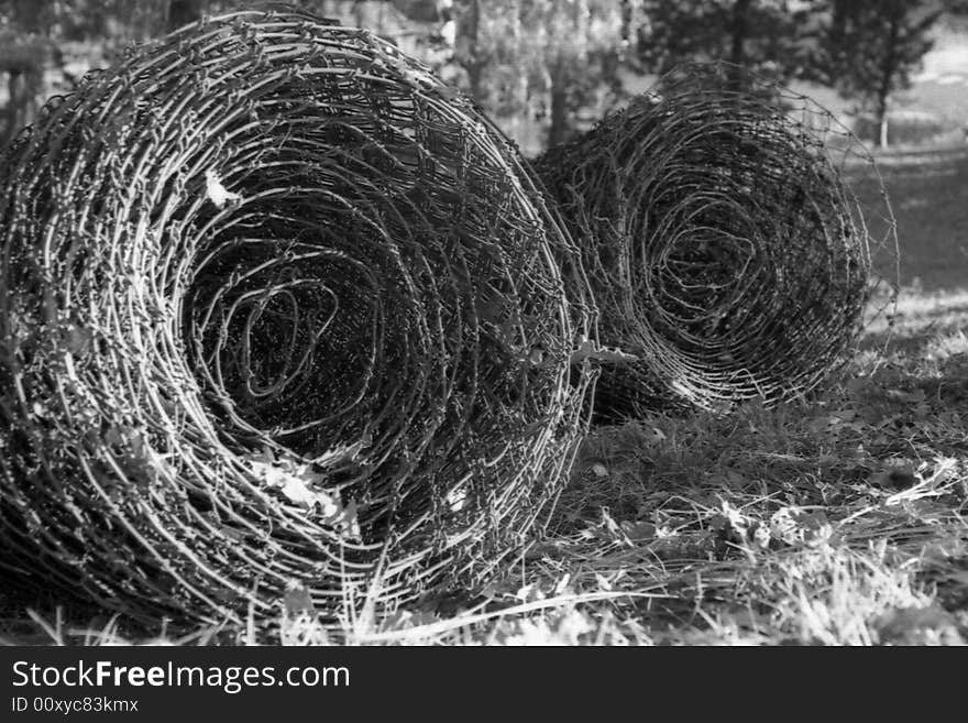 Barbed Wire