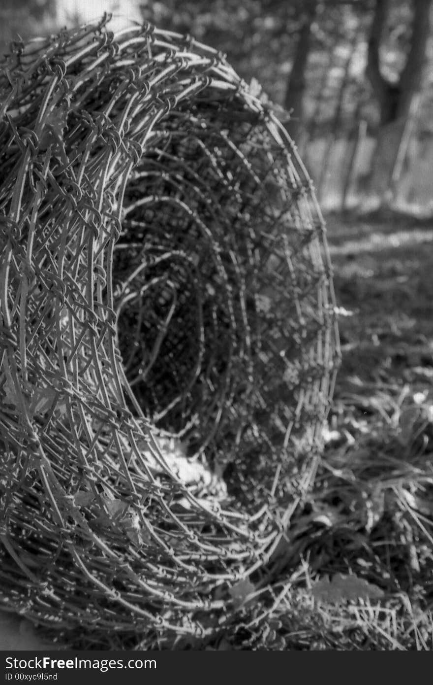 Barbed Wire