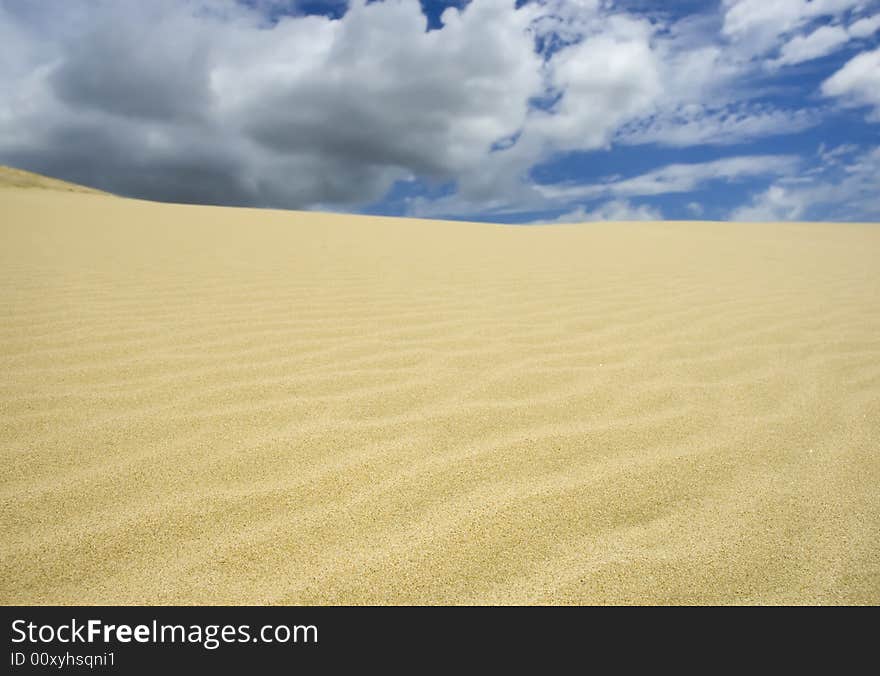 Desert landscape with grey cloud. Desert landscape with grey cloud