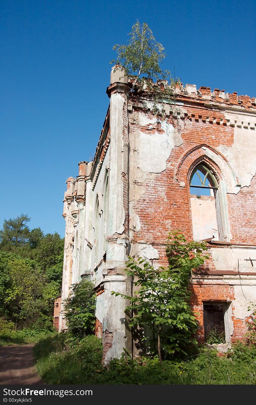 Overgrown ruins of a manor