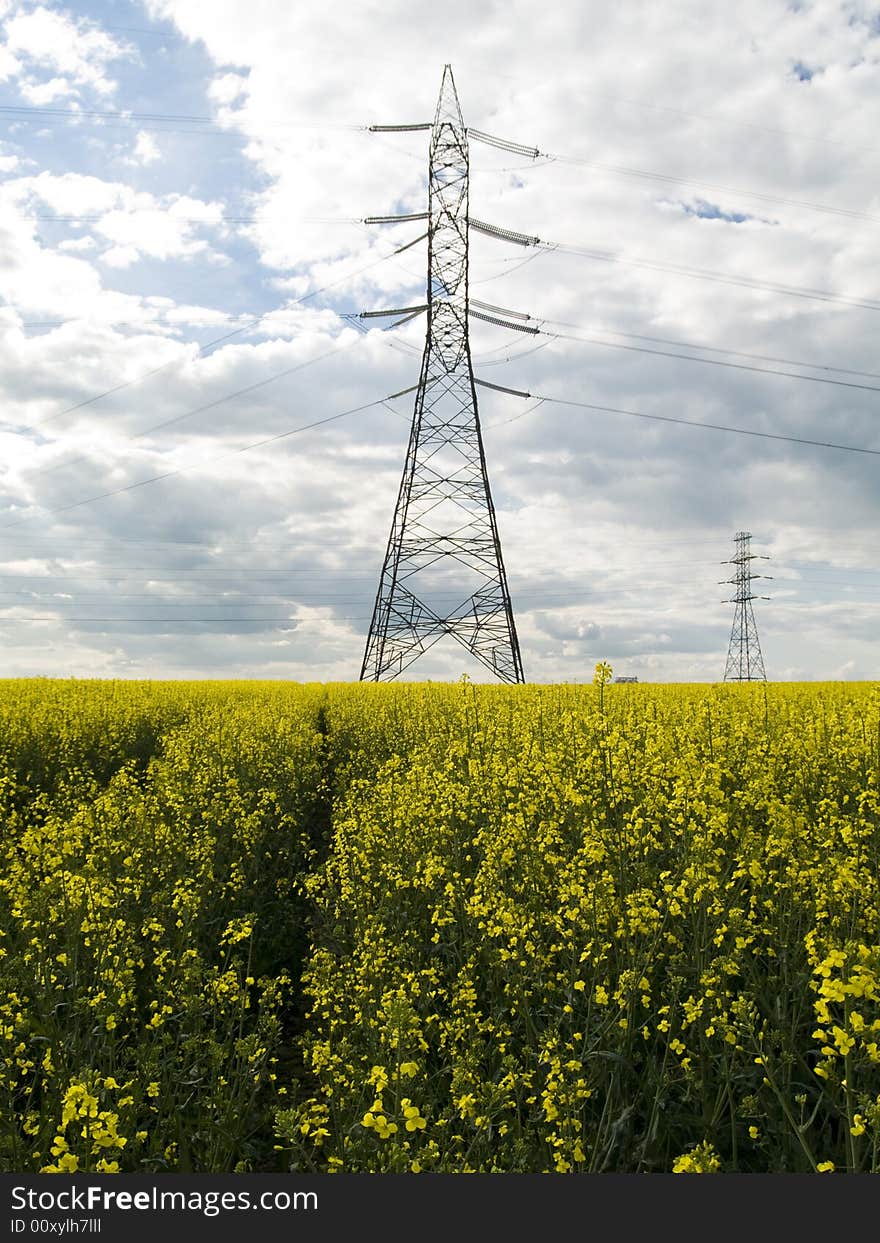 Hight voltage line on the rape field. In background blue sky